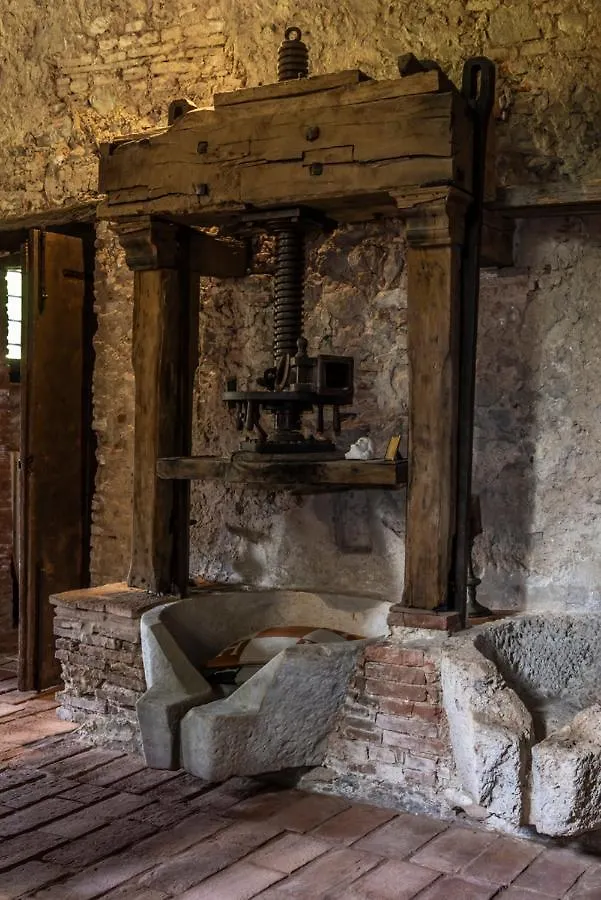 Frantoio Del Moscatello Bed & Breakfast Camaiore